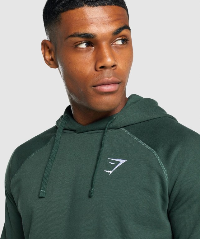 Sudadera Con Capucha Gymshark Crest Hombre Verdes Oscuro | g72lphAOtGz