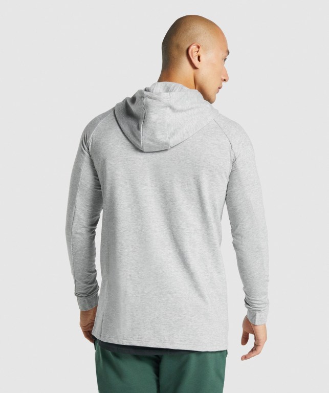 Sudadera Con Capucha Gymshark Critical 2.0 Zip Up Hombre Grises Claro | a4bg3GoWnsX