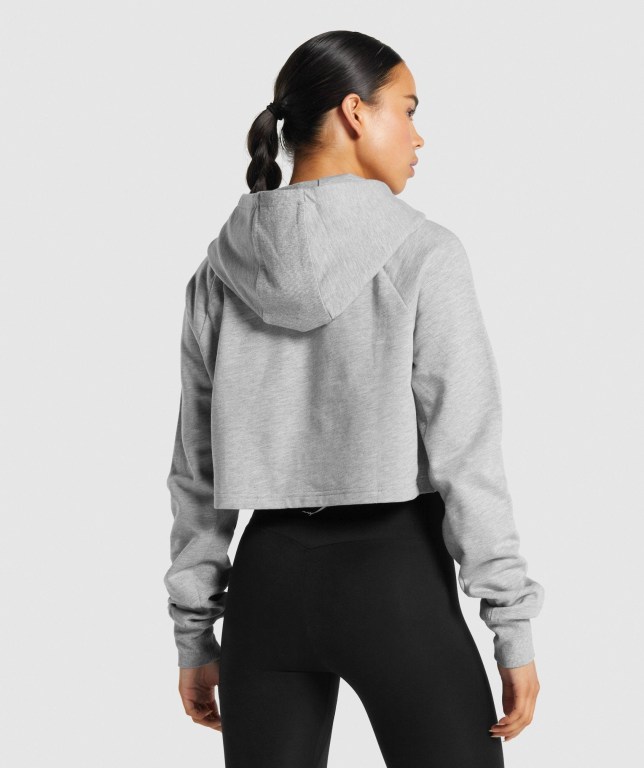 Sudadera Con Capucha Gymshark Entrenamiento Cropped Mujer Grises Claro | Dv1Hv8IUvnq