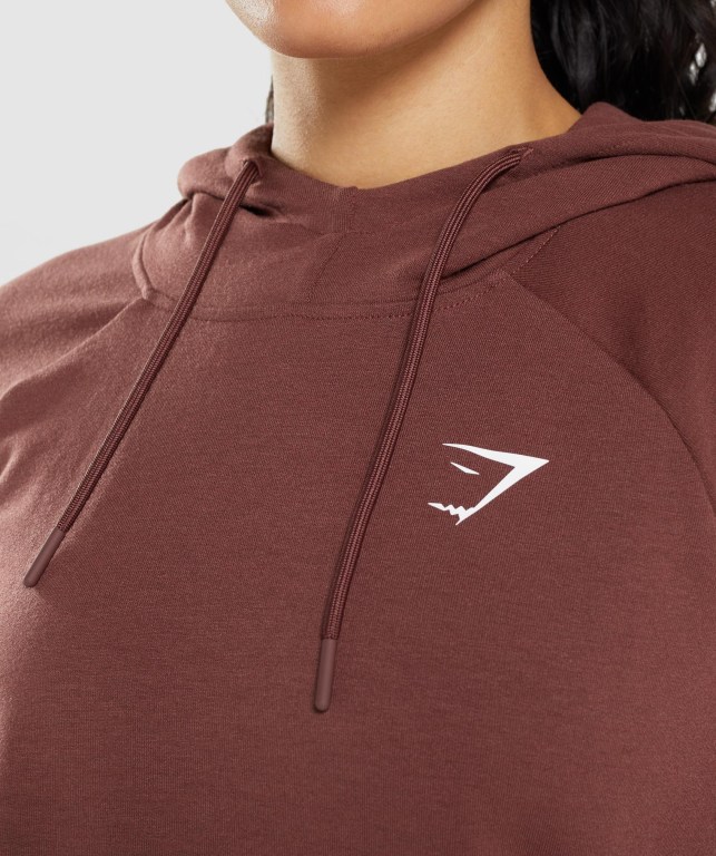 Sudadera Con Capucha Gymshark Entrenamiento Mujer Rosas Marrom | lJnVTuK4qQA