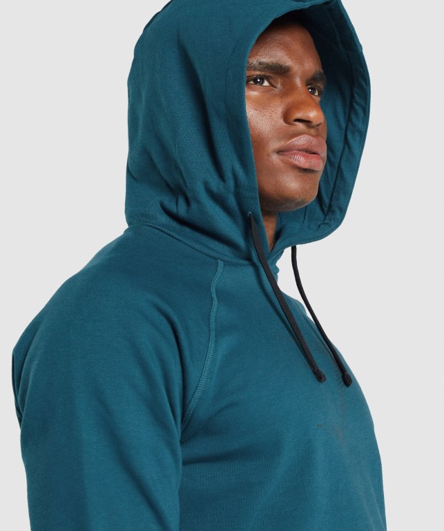 Sudadera Con Capucha Gymshark Sharkhead Infill Hombre Turquesa | TTfTedGtSQu