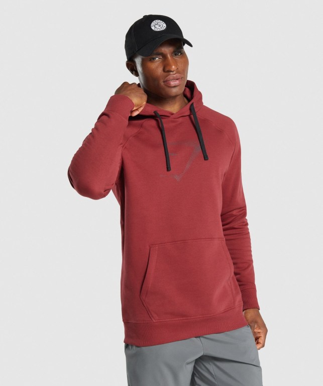 Sudadera Con Capucha Gymshark Sharkhead Infill Hombre Vino | la1IfTTo2Og