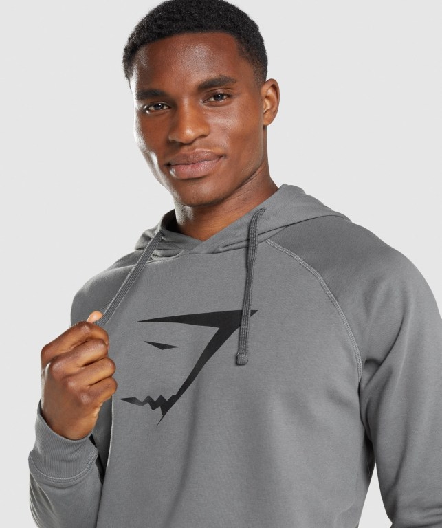 Sudadera Con Capucha Gymshark Sharkhead Infill Hombre Grises | pvlKSkY6ziG