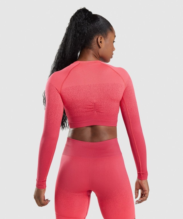 Sudaderas Gymshark Adapt Ombre Seamless Crop Top Mujer Rosas Rojos | 74t4Ci9fBA7