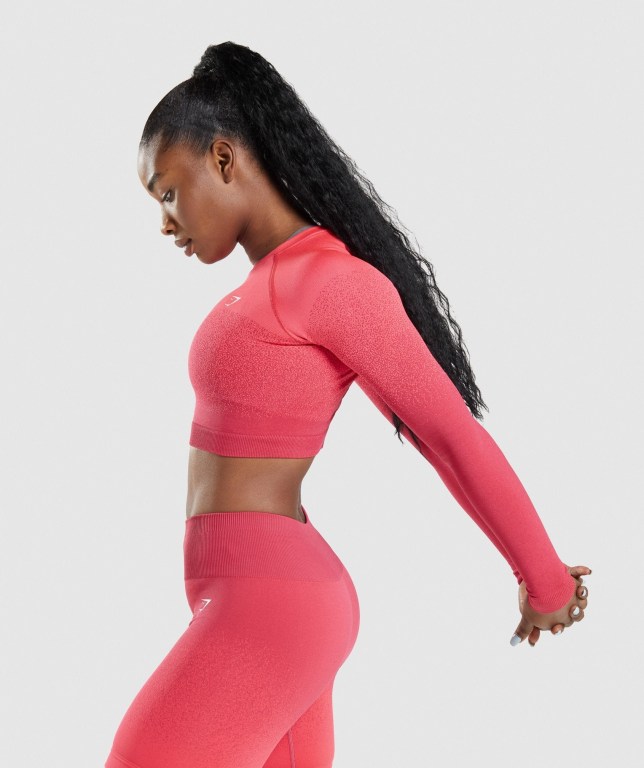 Sudaderas Gymshark Adapt Ombre Seamless Crop Top Mujer Rosas Rojos | 74t4Ci9fBA7