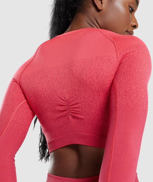 Sudaderas Gymshark Adapt Ombre Seamless Crop Top Mujer Rosas Rojos | 74t4Ci9fBA7