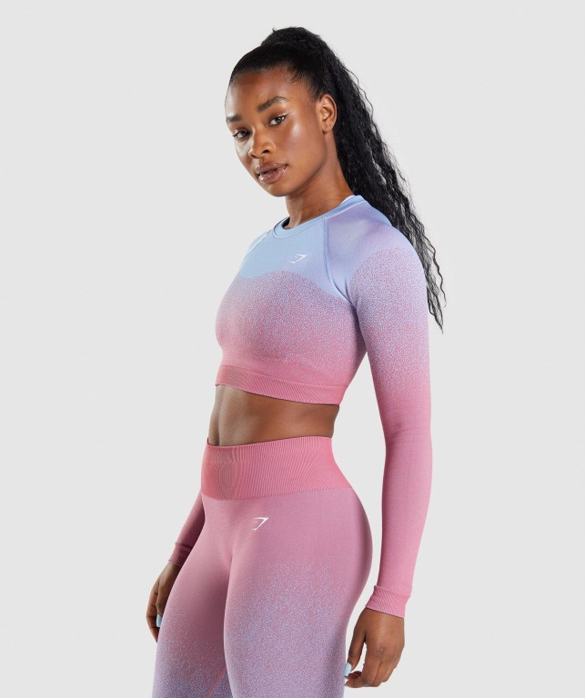 Sudaderas Gymshark Adapt Ombre Seamless Crop Top Mujer Rosas Rosas Azules Claro | iYydW9IYwLw