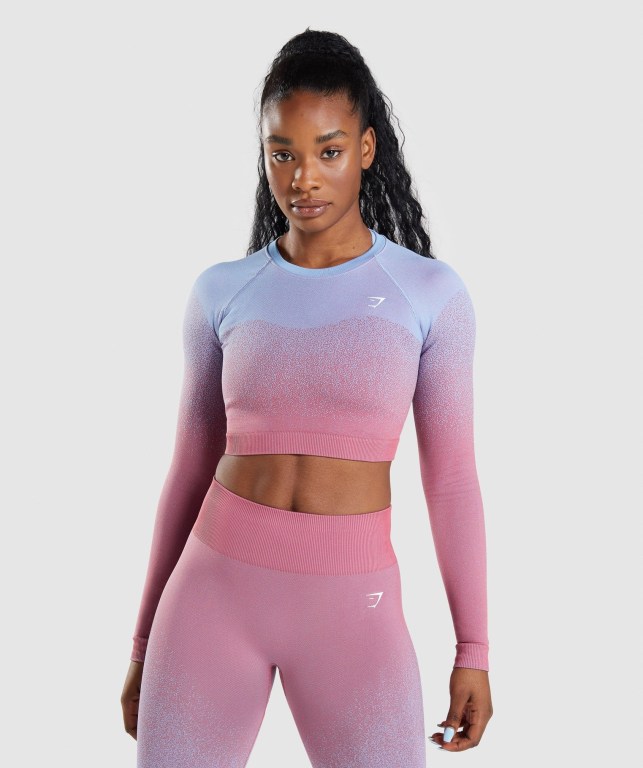 Sudaderas Gymshark Adapt Ombre Seamless Crop Top Mujer Rosas Rosas Azules Claro | iYydW9IYwLw