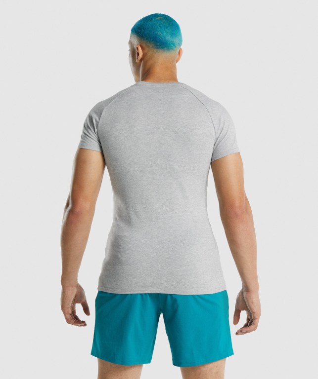 Sudaderas Gymshark Apollo Hombre Grises Claro | GwgQ99Ae985