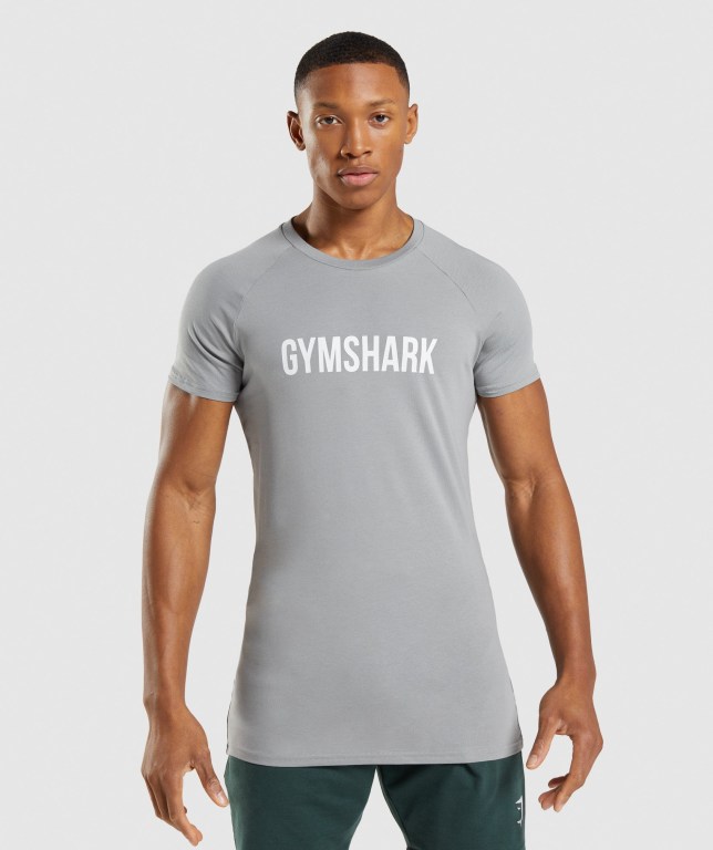 Sudaderas Gymshark Apollo Hombre Grises | oMOUxhZ3SAy