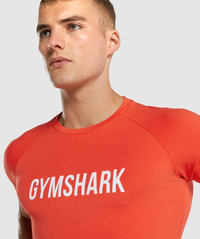 Sudaderas Gymshark Apollo Hombre Naranjas | vEuPdeaiof7