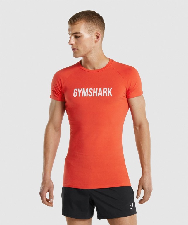 Sudaderas Gymshark Apollo Hombre Naranjas | vEuPdeaiof7