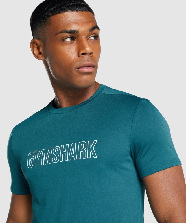 Sudaderas Gymshark Arrival Graphic Hombre Turquesa | 1om4Yl1xn8P