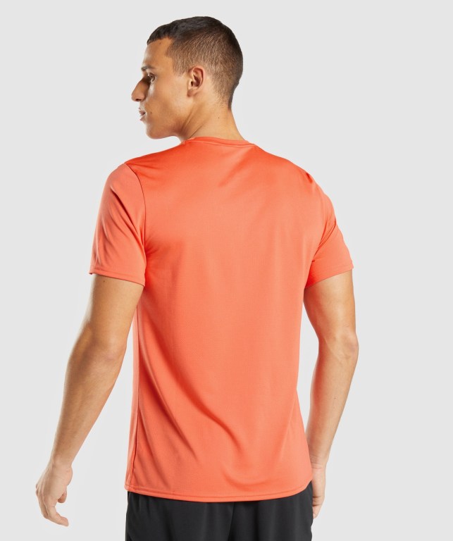 Sudaderas Gymshark Arrival Hombre Naranjas | srqwrh2gJUw