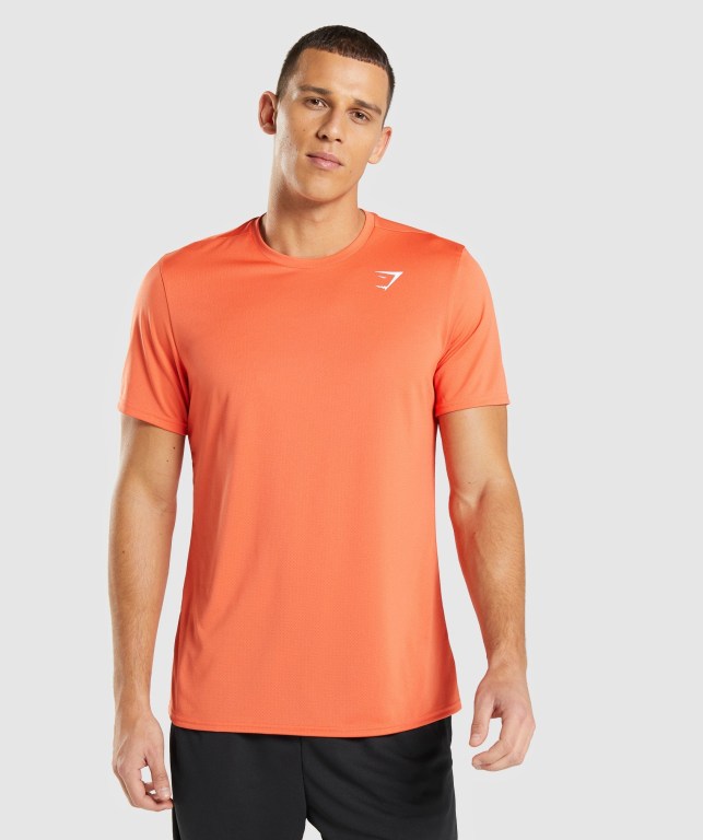 Sudaderas Gymshark Arrival Hombre Naranjas | srqwrh2gJUw