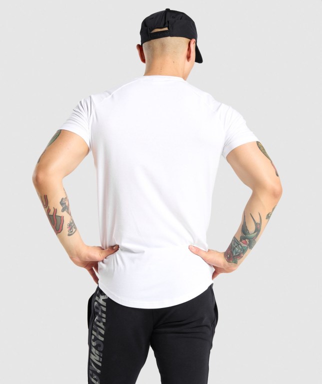 Sudaderas Gymshark Bold Hombre Blancos Camuflados | 9Fm7aiO642J