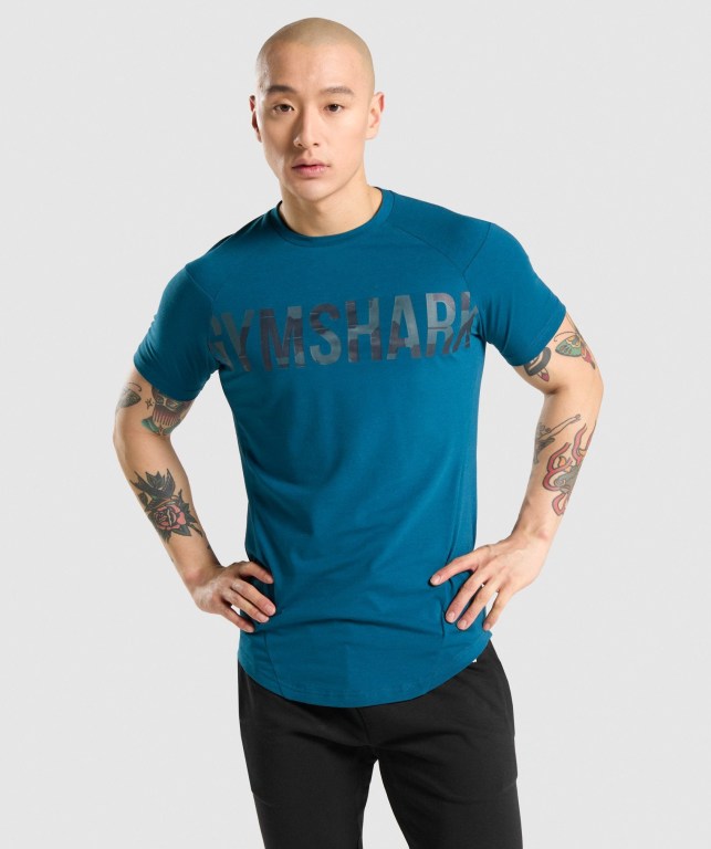 Sudaderas Gymshark Bold Hombre Turquesa Camuflados | o4mnNUUACDz