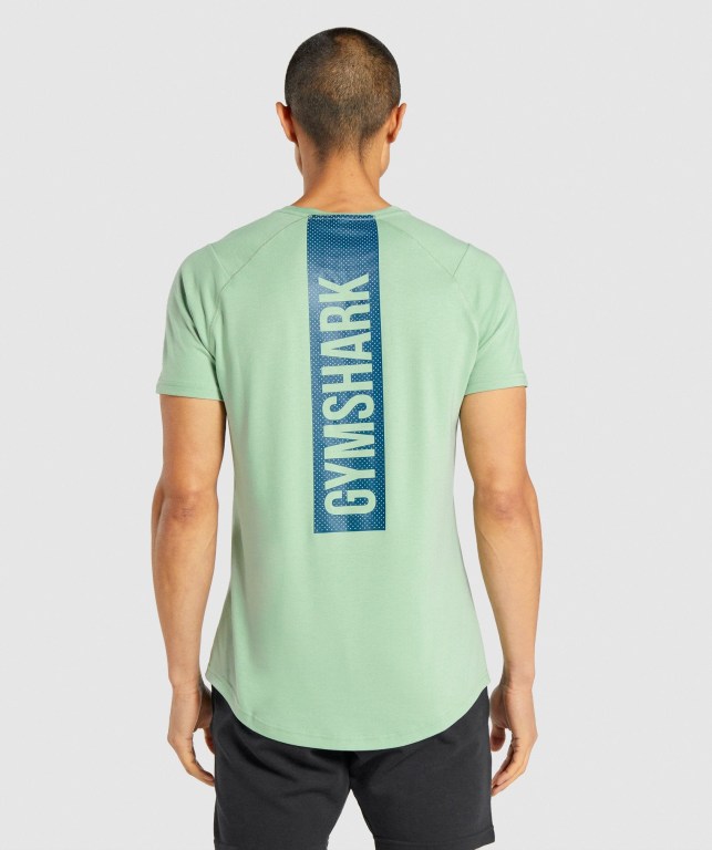 Sudaderas Gymshark Bold Hombre Verdes | hcXXQUBdLsr