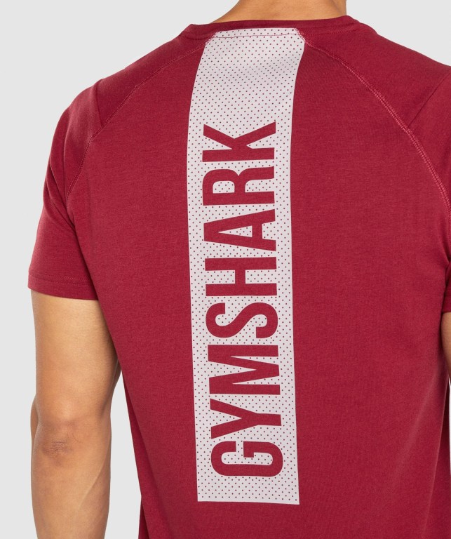 Sudaderas Gymshark Bold Hombre Vino | jItC3bXlpBo