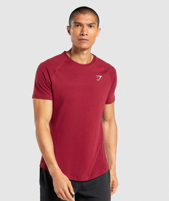 Sudaderas Gymshark Bold Hombre Vino | jItC3bXlpBo