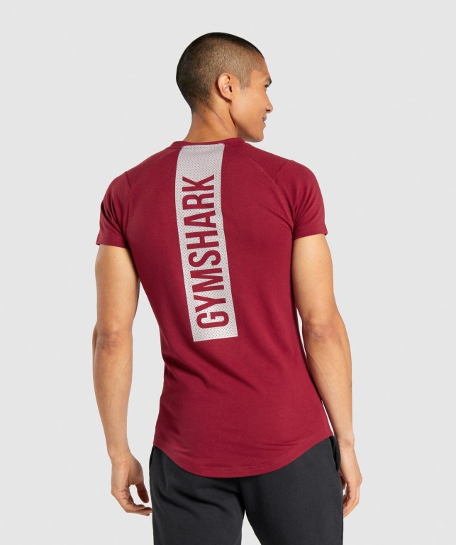 Sudaderas Gymshark Bold Hombre Vino | vvZCghE6cpk