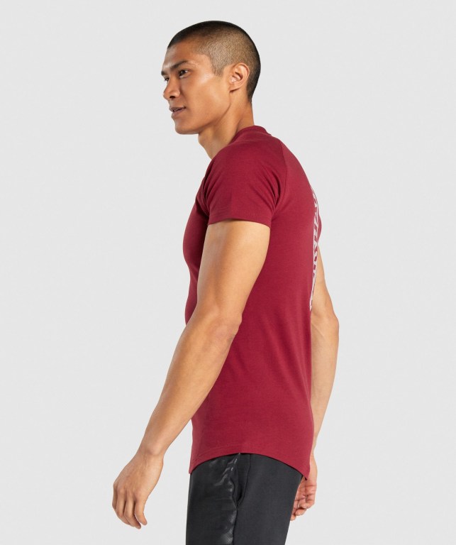 Sudaderas Gymshark Bold Hombre Vino | vvZCghE6cpk