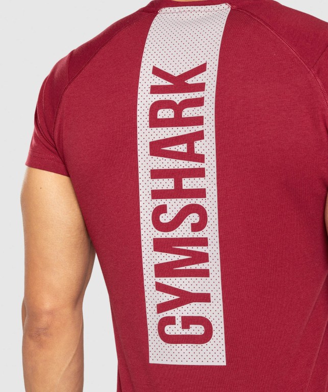 Sudaderas Gymshark Bold Hombre Vino | vvZCghE6cpk