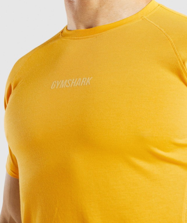 Sudaderas Gymshark Chalk Hombre Amarillos | zWtiiYGnTGl