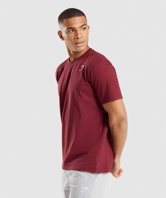 Sudaderas Gymshark Crest Hombre Vino Rojos | nt1FB78CZz1