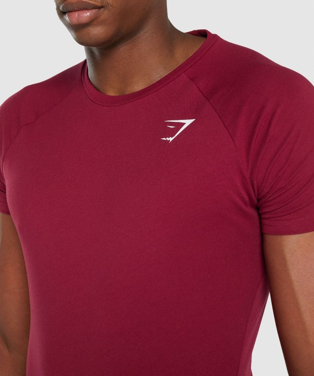 Sudaderas Gymshark Critical 2.0 Hombre Vino | YyR4VF7Uh6o