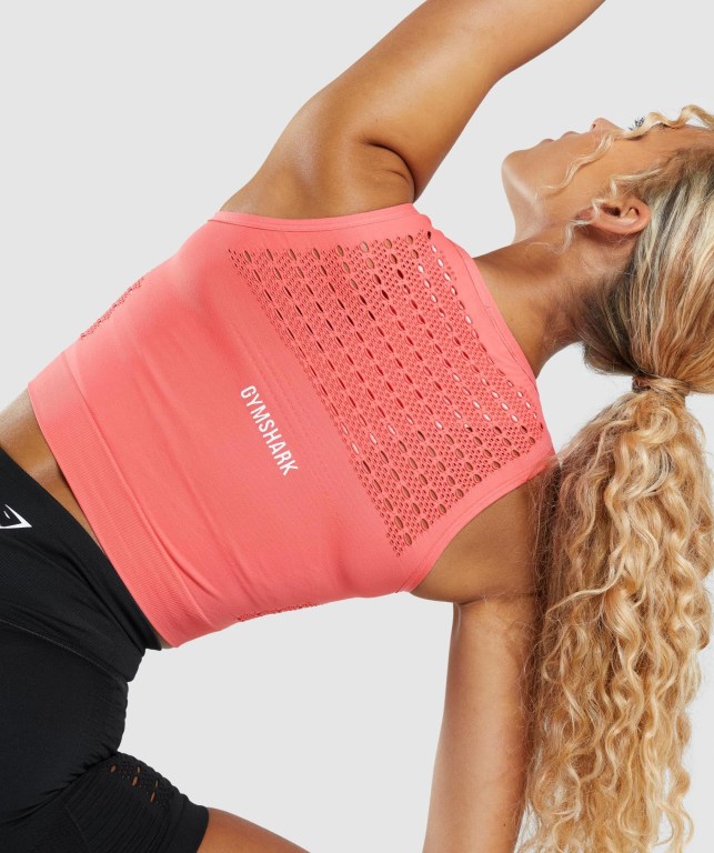 Sudaderas Gymshark Energy Seamless Crop Top Mujer Rosas | JlNK98urbxh