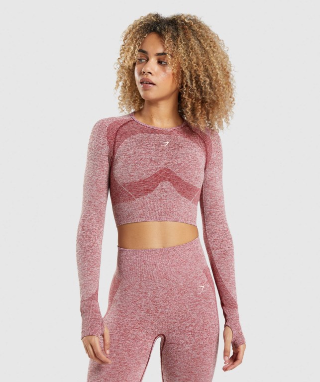 Sudaderas Gymshark Flex Sports Crop Top Mujer Vino | eispDohjSaz