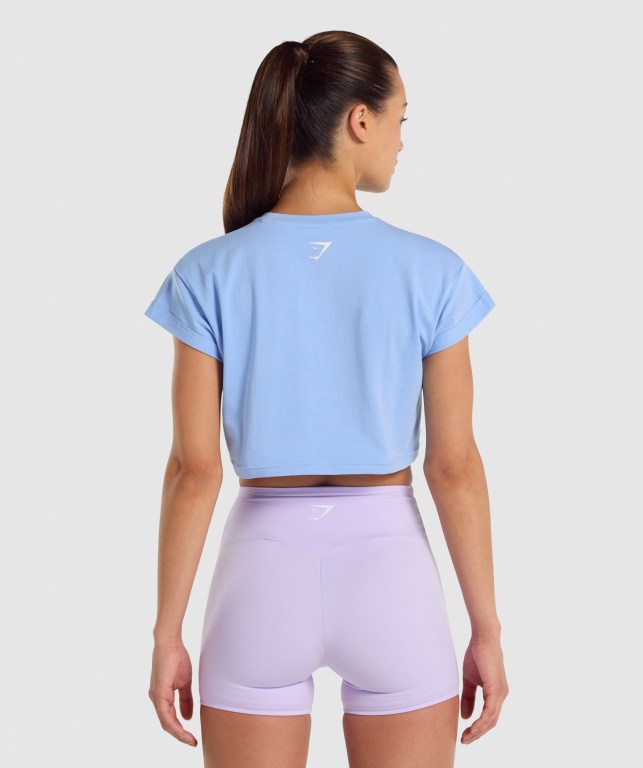 Sudaderas Gymshark Fraction Crop Top Mujer Azules Claro | 96oJ6Elvade