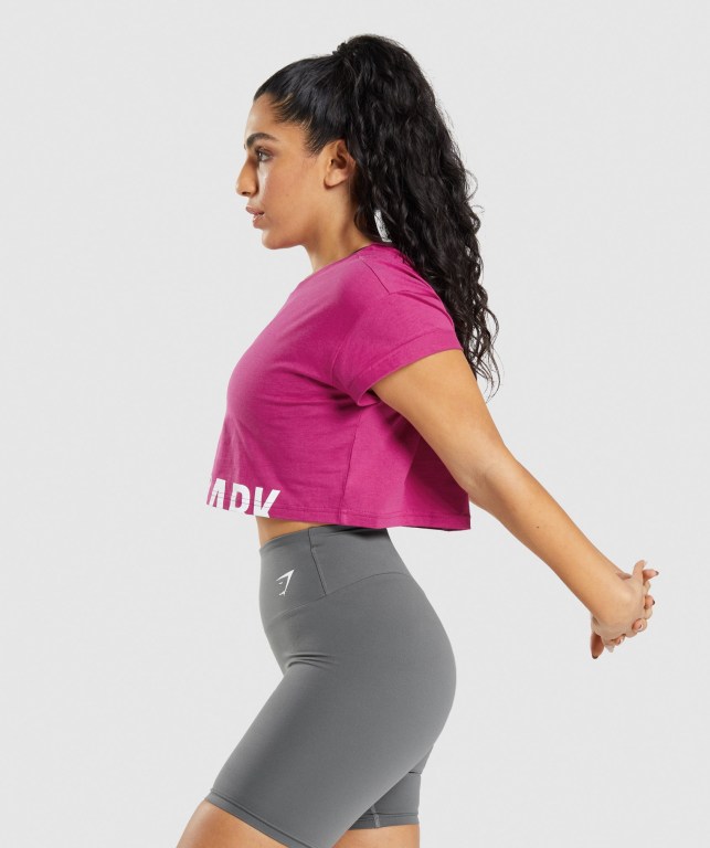 Sudaderas Gymshark Fraction Crop Top Mujer Rosas | 9jn7LbhEiMY