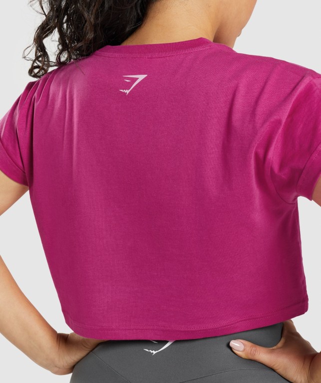 Sudaderas Gymshark Fraction Crop Top Mujer Rosas | 9jn7LbhEiMY