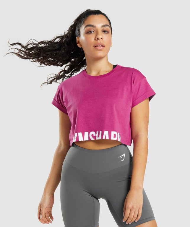 Sudaderas Gymshark Fraction Crop Top Mujer Rosas | 9jn7LbhEiMY