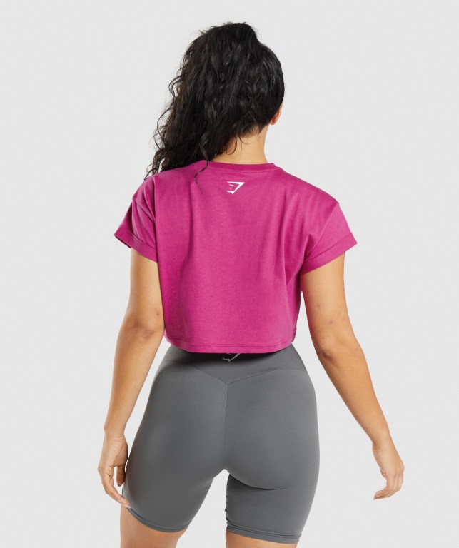 Sudaderas Gymshark Fraction Crop Top Mujer Rosas | Cppf3tEfqEG