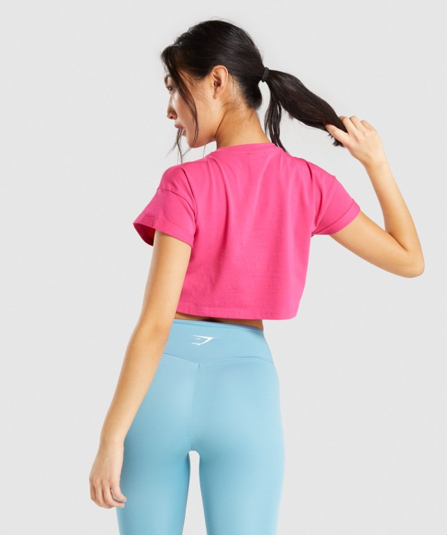 Sudaderas Gymshark Fraction Crop Top Mujer Rosas | D3grDgoezCR