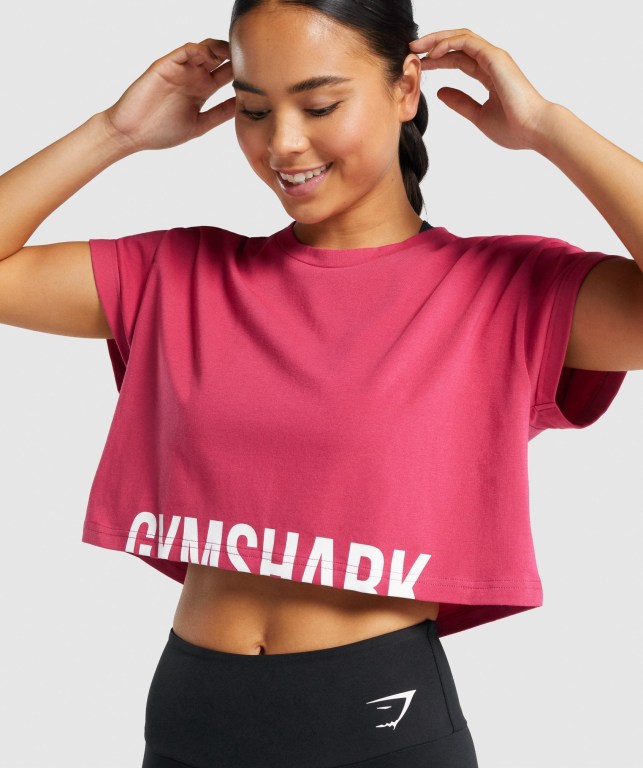 Sudaderas Gymshark Fraction Crop Top Mujer Rosas | E4LGKEkX2Jt