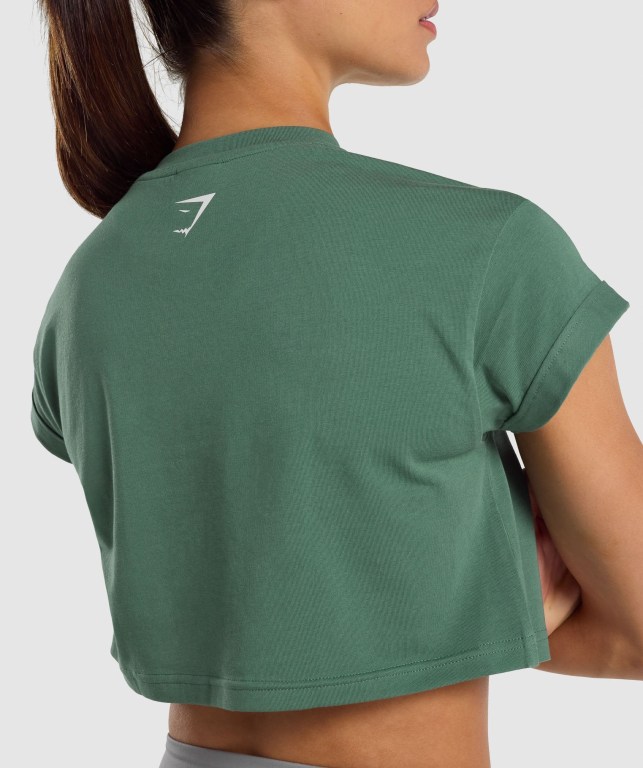 Sudaderas Gymshark Fraction Crop Top Mujer Verdes | KPhTJ8BtypG