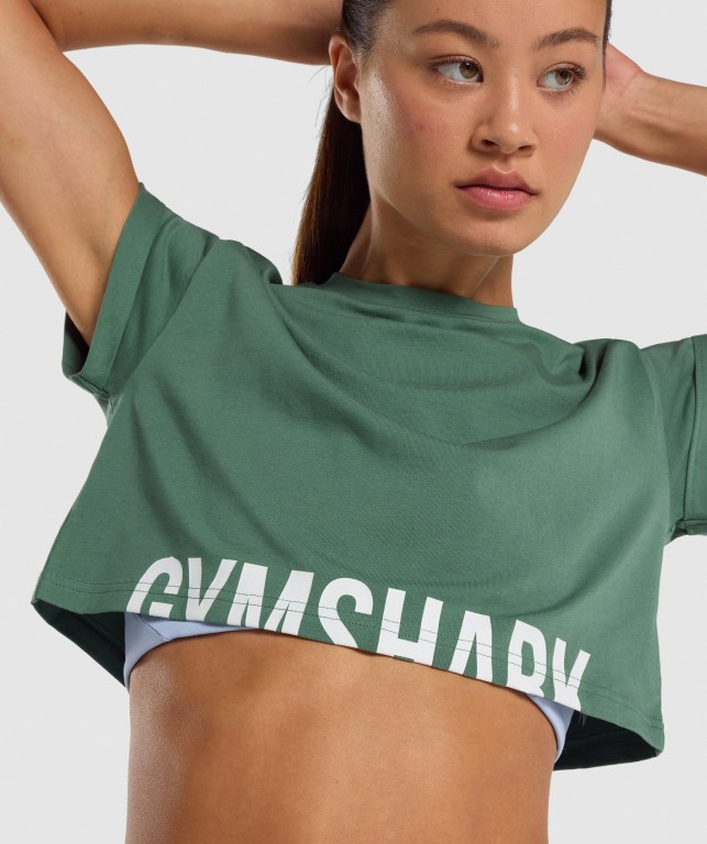 Sudaderas Gymshark Fraction Crop Top Mujer Verdes | KPhTJ8BtypG