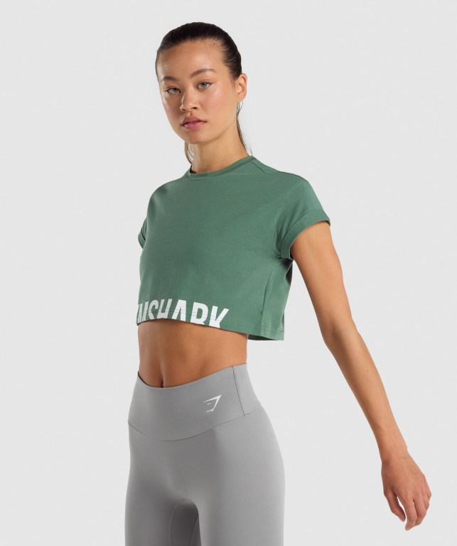 Sudaderas Gymshark Fraction Crop Top Mujer Verdes | VOlItxQBfy3