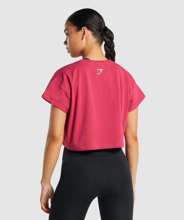 Sudaderas Gymshark Fraction Crop Top Mujer Rosas | fwWjemaiwsO