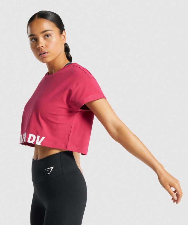 Sudaderas Gymshark Fraction Crop Top Mujer Rosas | fwWjemaiwsO