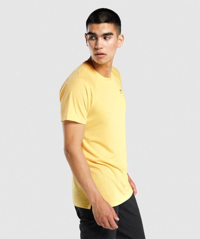 Sudaderas Gymshark Studio Hombre Amarillos | ctbRXm3yoWb