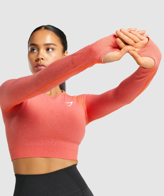 Sudaderas Gymshark Vital Seamless 2.0 Crop Top Mujer Naranjas | PQe88lEGJzf