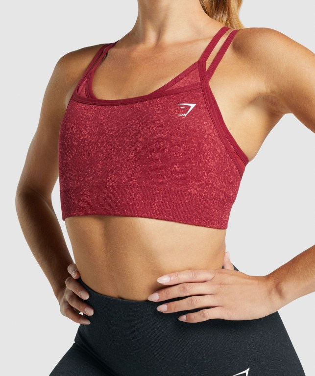 Sujetadores Deportivos Gymshark Adapt Fleck Seamless Sports Bra Mujer Vino | 9iPNpXvuumw