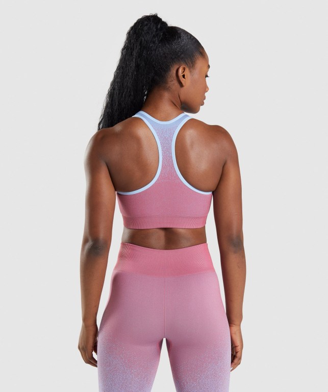 Sujetadores Deportivos Gymshark Adapt Ombre Seamless Sports Bra Mujer Rosas Rosas Azules Claro | 7udEWTap9YU