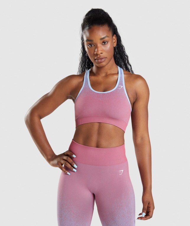 Sujetadores Deportivos Gymshark Adapt Ombre Seamless Sports Bra Mujer Rosas Rosas Azules Claro | 7udEWTap9YU