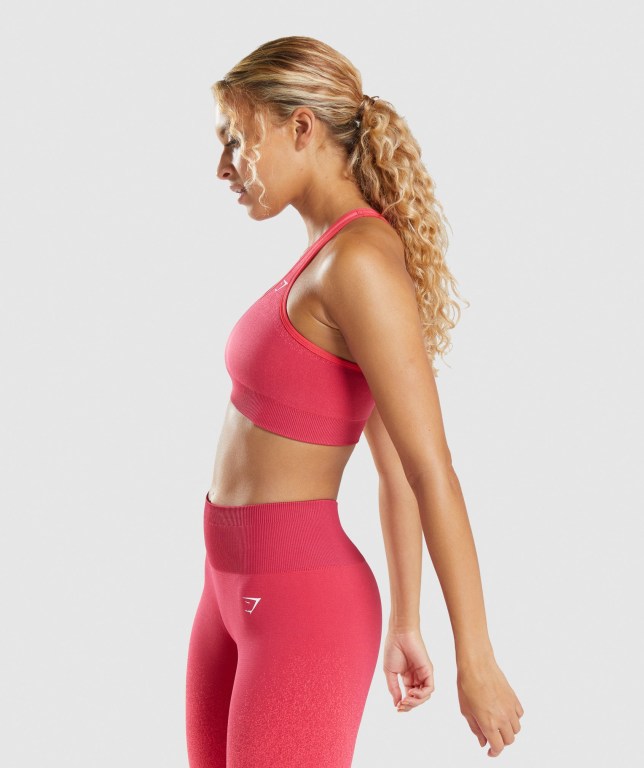 Sujetadores Deportivos Gymshark Adapt Ombre Seamless Sports Bra Mujer Rosas Rojos | ji5EGUSuxoF